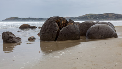 Fototapeta na wymiar Moeraki Boulders at Koekohe Beach on the wave-cut Otago coast of New Zealand