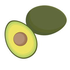 アボカドの果実のイラスト
