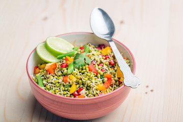 sprouted lentil salad