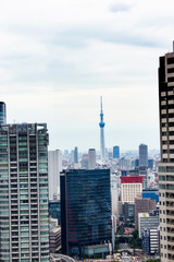 Fototapeta na wymiar Tokyo skytree tower in Japan with road and building