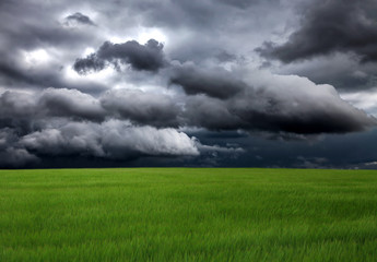 Obraz na płótnie Canvas Field and Storm Clouds