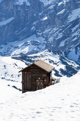 Ski hut shop center at First peak in Grindelwald , Berne Switzerland