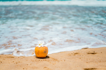 Fresh young orange coconut with a tube for drinks and Plumeria flowers in a tropical resort near the ocean