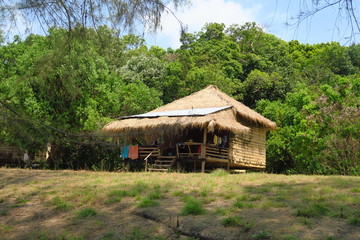 Cabane en bois et jungle