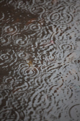 Raindrops1