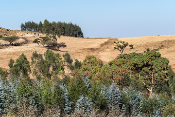 Landscape view between Gondar and the Simien mountains, Ethiopia, Africa