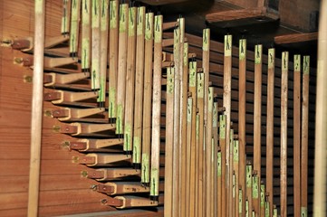 Orgel