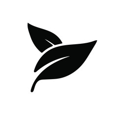 leaf silhouette isolated