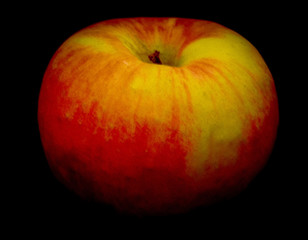 apple art photo  colorful