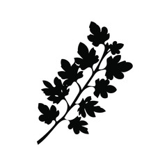leaf silhouette isolated