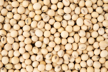 Soy bean soya background top view