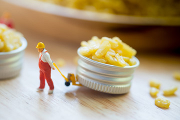 Miniature people workers moving fried mung bean (Thai appetizer) for export.