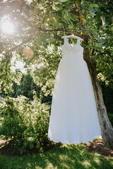 Wedding dress hanging in a tree in the garden greenery