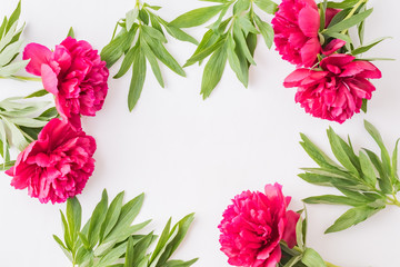 Flat lay composition with red peonies and green leaves on a white background