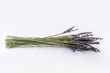 Dry lavender isolated on a white cloth background