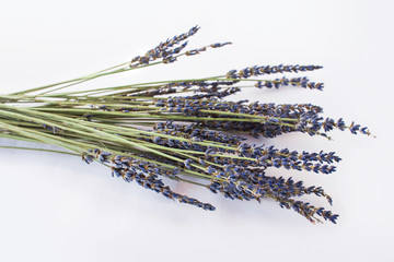 Dry lavender isolated on a white cloth background