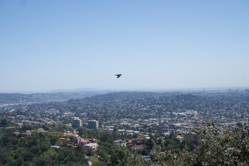 Los Angeles