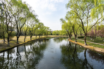 Fototapeta na wymiar landscape of park