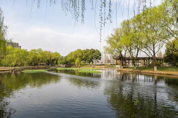 Obraz premium landscape of west lake in hangzhou china