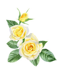 Watercolor bouquet of yellow roses flowers, buds, leaves. Floral logo. Frame for cards.