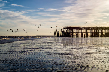 Fototapeta premium Hastings Pier at low tide