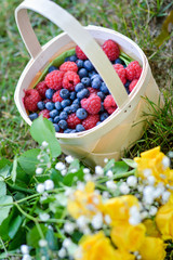 blueberries and raspberries in a basket and some flowers in foreground