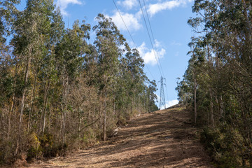 Fototapete bei efototapeten.de bestellen   