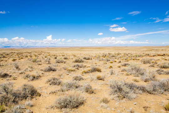Scenic desert in New Mexico, USA