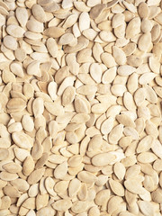 Salted pumpkin seeds, vertical background