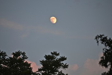 Moom at twilight