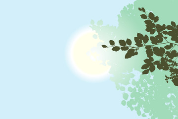 Leaves on branch, clear blue sky, sun shining