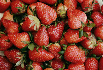 fresas ricas