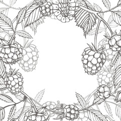 Hand drawn raspberry. Retro sketch style illustration. Perfect for invitation, wedding or greeting cards.