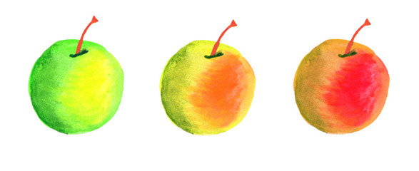 group of green, orange and red apples. watercolor paint illustration. Isolated