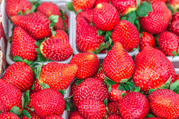 Strawberries on the counter in the market for sale