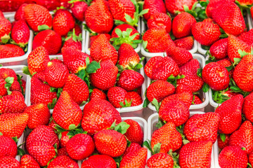 Strawberries on the counter in the market for sale