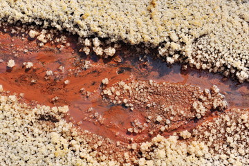 Texture of crystallized pieces of salt.