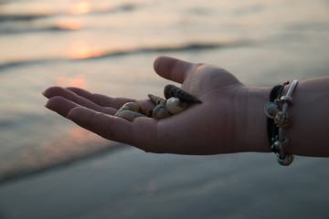 Woman collecting seashells in her hand on a beach during sunset hour, relax and summer concept