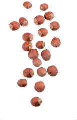 Closeup of hazelnuts, isolated on the white background