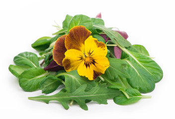 mix salad with arugula spinach salad red and edible flowers on a white background