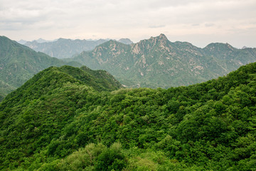 Great Wall of China in Summer. Mutianyu section near Beijing
