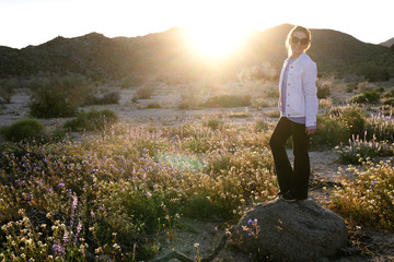 Naklejka na ściany i meble Woman standing on a rock in a wildflower field at dusk in Joshua Tree National Park California. Sunflare in photo