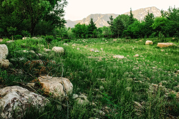 Gateway to the Shaolin Monastery Shaolin Temple, a Zen Buddhist temple.