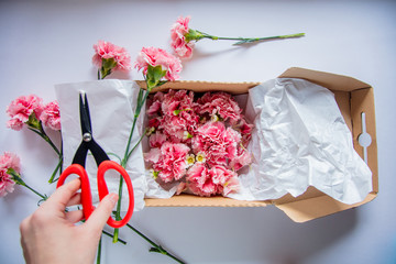 Female hands wrapping dianthus in a gift box