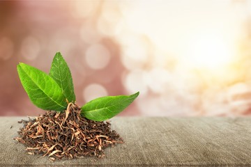 Tea and leaves isolated on white background