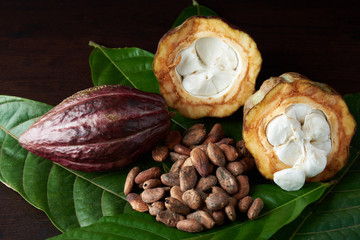 Fototapeta na wymiar Raw organic cacao beans