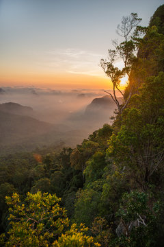 Vertical picture of an amazing sunrise over the green rainforest
