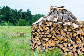Wooden firewood stuked on a green grass