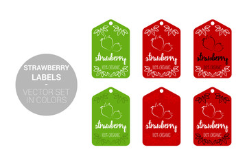Strawberry fruit Natural store labels set in green, red colors. Cartoon Advertising hundred percent organic Stickers. fruit Badges with Hand drawn strawberry with Eco leaves ready for web and Print