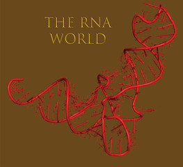 The RNA world